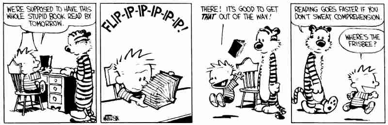 calvin and hobbes on reading